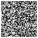 QR code with Psychstrategies Inc contacts
