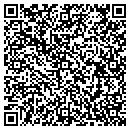 QR code with Bridgeview Taxi Inc contacts
