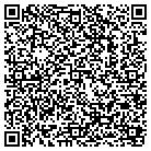 QR code with Calvi Contracting Corp contacts