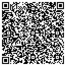 QR code with Bison Financial Group contacts