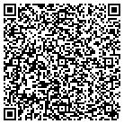 QR code with Block Financial Service contacts