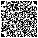 QR code with Carpet Store contacts