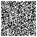 QR code with Pre-School of the Art contacts