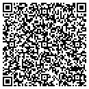 QR code with Purplus Soft contacts
