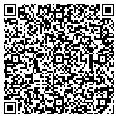 QR code with Precision Dent Repair contacts