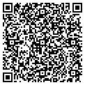 QR code with Avsg Lp contacts