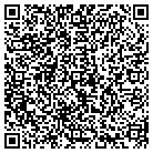 QR code with Brake Depot Systems Inc contacts