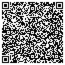 QR code with Cluebringer Systems contacts
