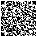 QR code with Chapel View Farms contacts