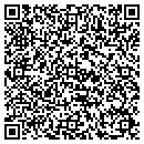 QR code with Premiere Video contacts