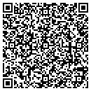 QR code with Princeton Leasing Inc contacts