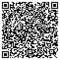 QR code with Amspec contacts