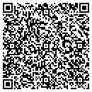 QR code with Precise Timely Mover contacts
