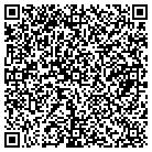 QR code with Blue Water Ventures Slr contacts