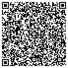 QR code with Blue Water Vue LLC contacts