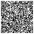QR code with Puzzle Zoo contacts