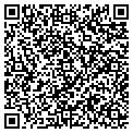 QR code with Cinema contacts