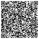 QR code with Pulte Realty Corp contacts