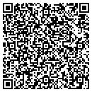 QR code with Princeton Review contacts