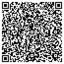 QR code with Pro Techs Electrical contacts