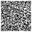 QR code with Pull-Tight Players contacts