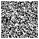 QR code with Blue Water Cube LLC contacts