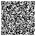 QR code with E-Wave contacts