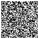 QR code with Premier Insurance Co contacts