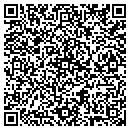 QR code with PSI Ventures Inc contacts