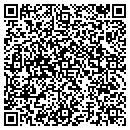 QR code with Caribbean Smoothies contacts