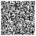 QR code with Q Lube contacts