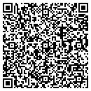 QR code with Bird Busters contacts