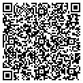 QR code with Amscot contacts