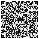 QR code with Blue Water Cruises contacts