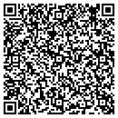 QR code with Professional Painting contacts