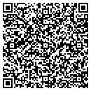 QR code with Protek Auto contacts