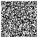 QR code with Pt Supply contacts