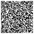 QR code with Professional Approach contacts