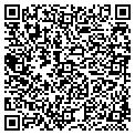 QR code with Tilt contacts