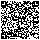 QR code with Castlepoint Games Inc contacts