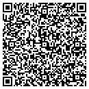 QR code with Practical Art LLC contacts
