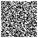 QR code with Pyrolectrics contacts