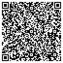 QR code with Precision Darts contacts
