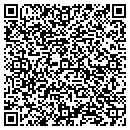 QR code with Borealis Painting contacts