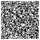 QR code with Blue Kite Brand Solutions Inc contacts