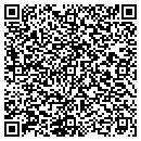 QR code with Pringle Painting Doug contacts