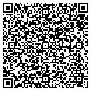 QR code with Public Storage contacts