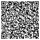 QR code with Chemung Tech's ArtTunes contacts