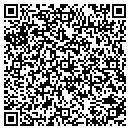 QR code with Pulse Of Life contacts