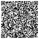 QR code with Blue Umbrella Corp contacts
